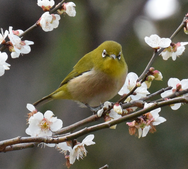 隙自語会場 icon