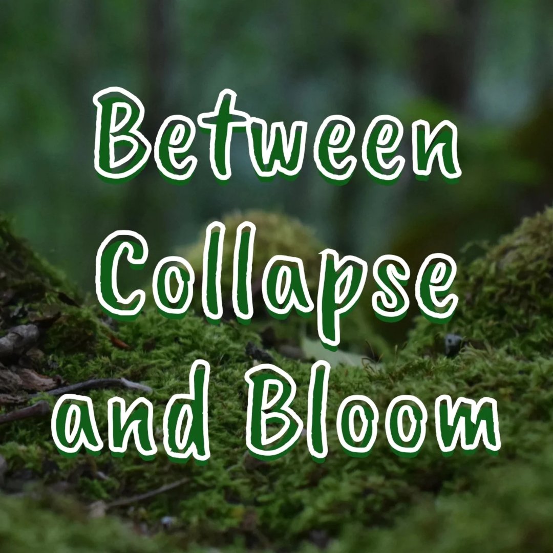 Between Collapse and Bloom icon