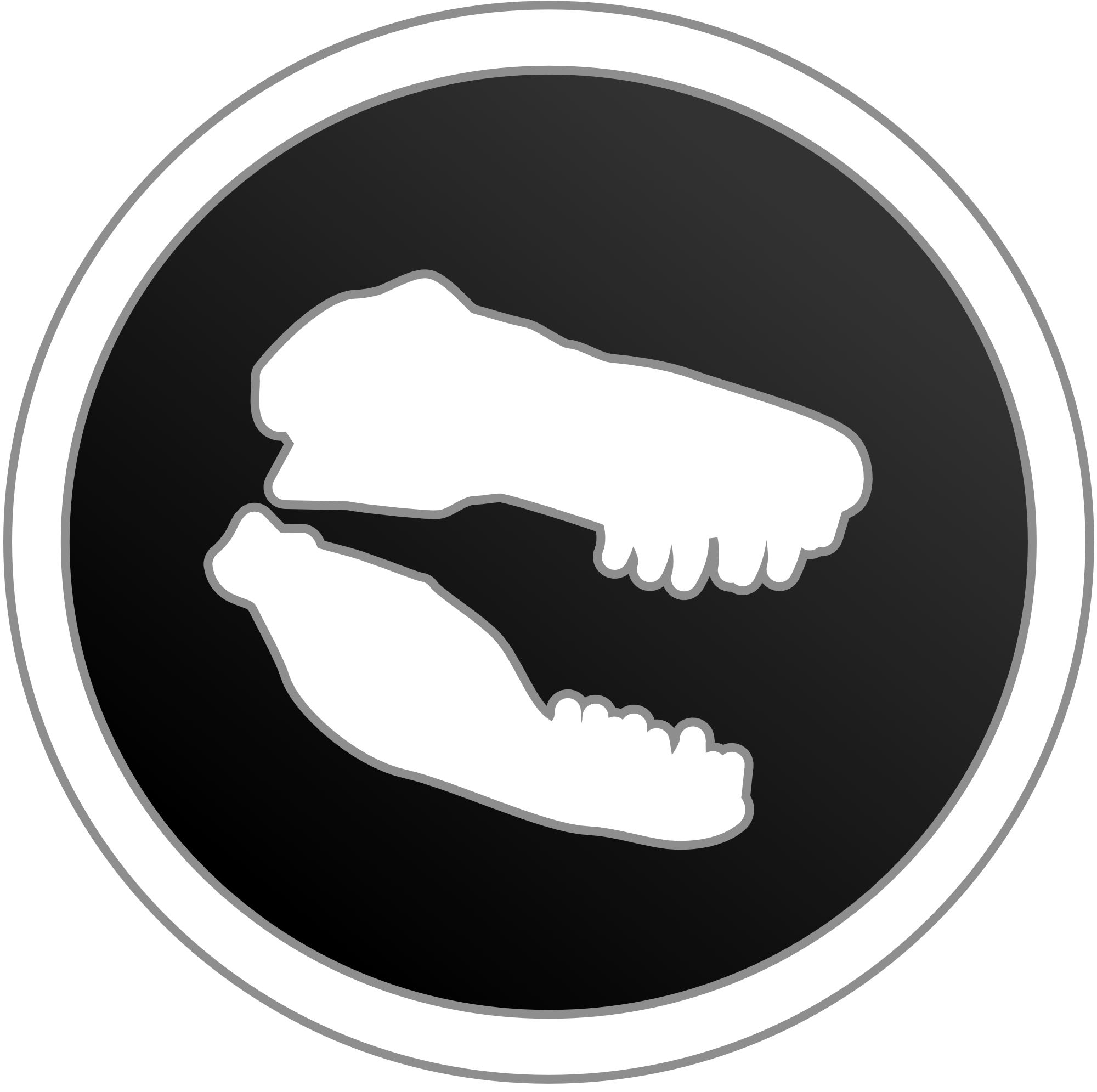 dnproto icon