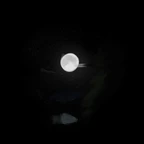 Inky's thoughts icon