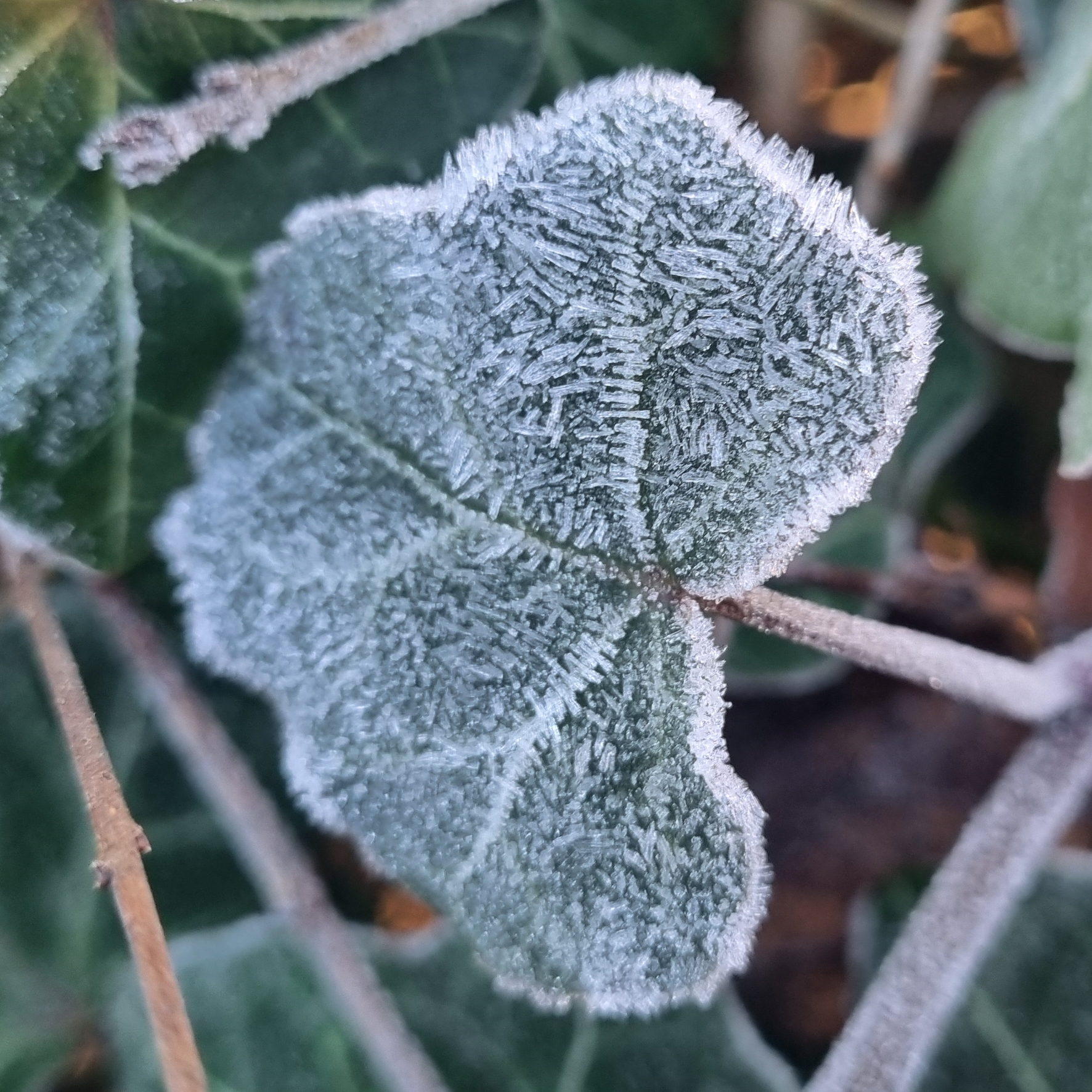 Winter 2025/26 (Kälte-/Winterhilfe, Winternotprogramm) icon