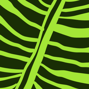 The London Druid icon