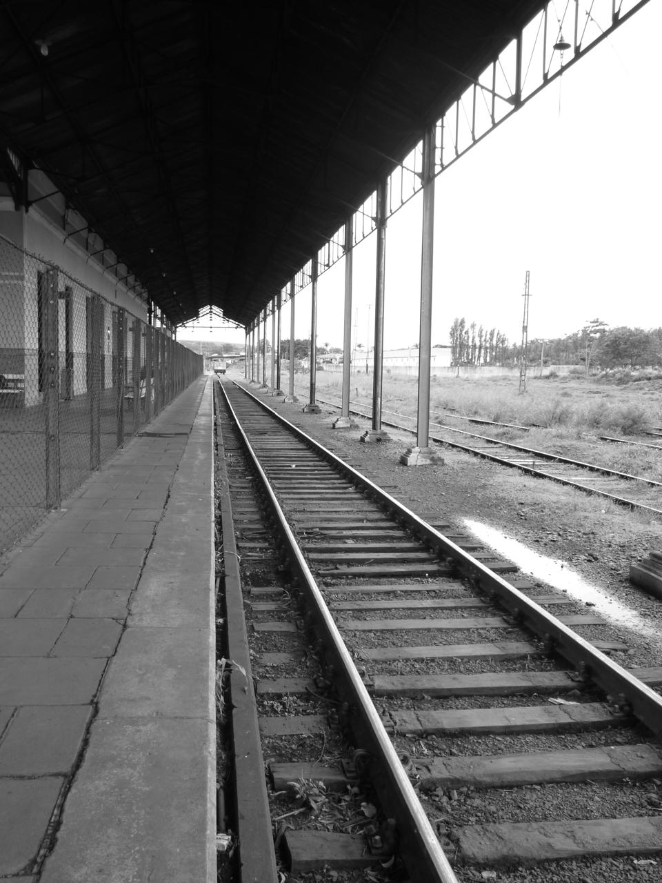 Descarrilo Cotidiano icon