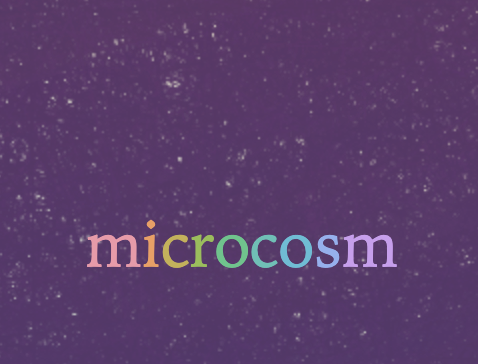 microcosm icon