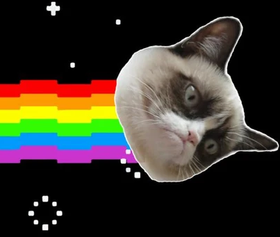 grumpycat tech stories. icon
