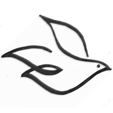 Tagesimpuls icon