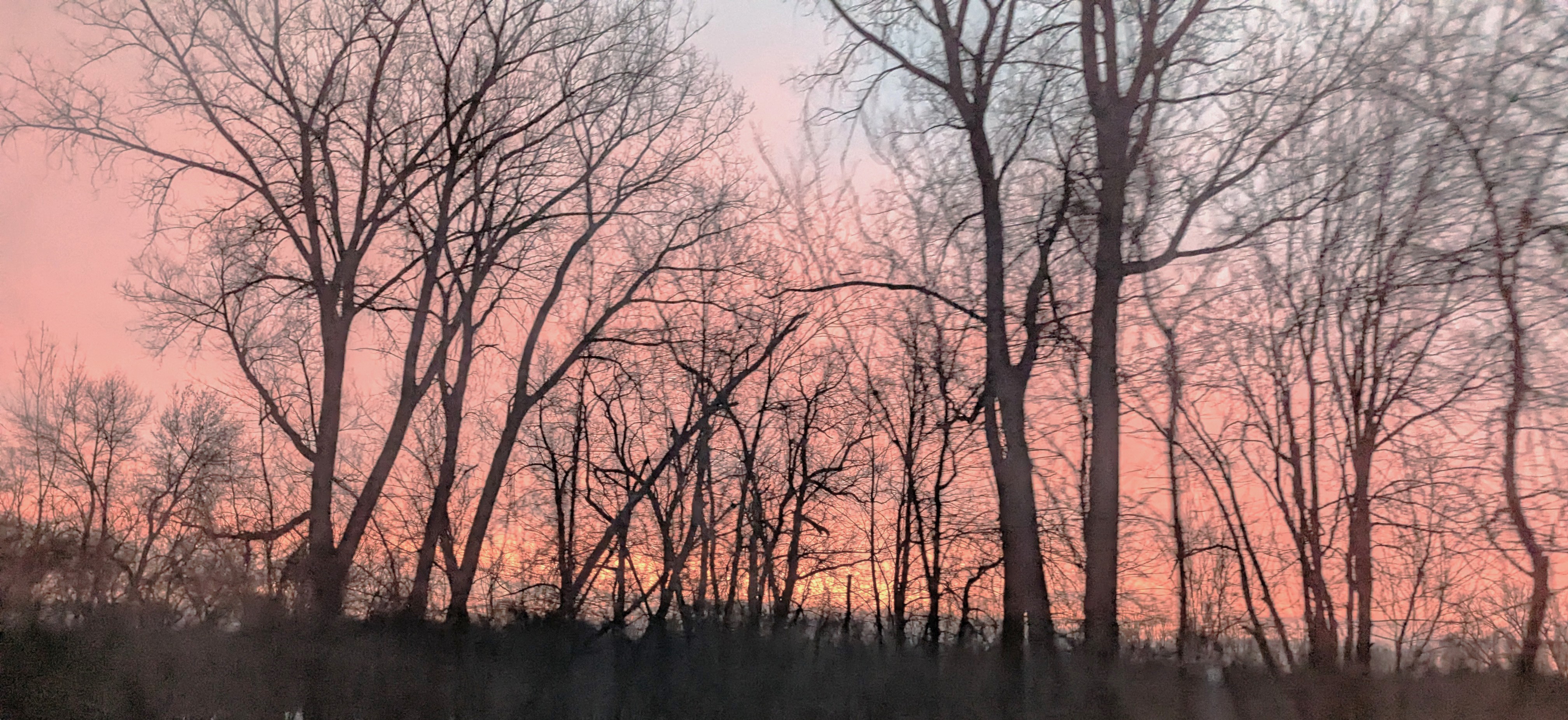 Dreaming at the Edge of the Apocalypse icon