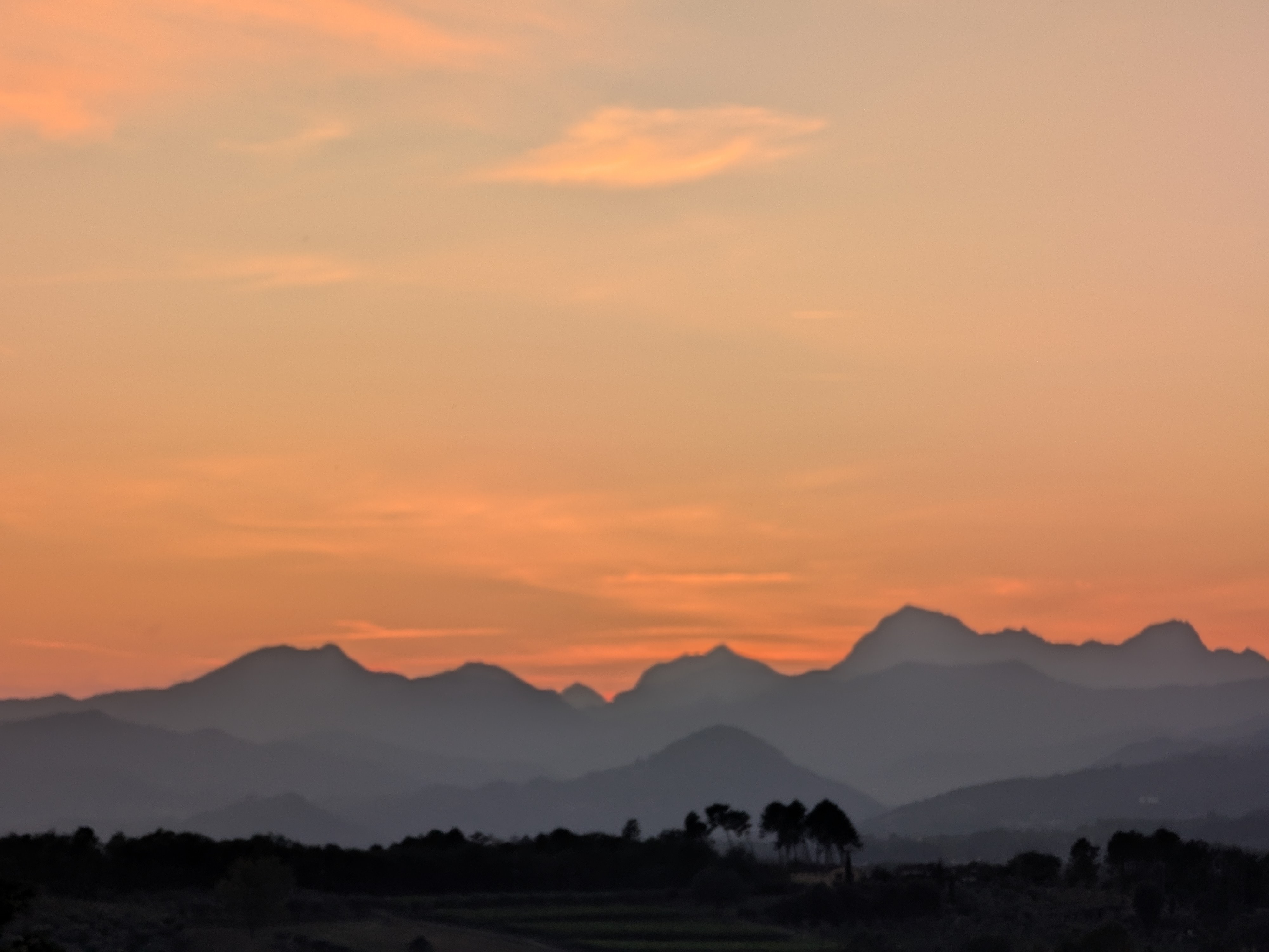 Pardy Time DevLog icon