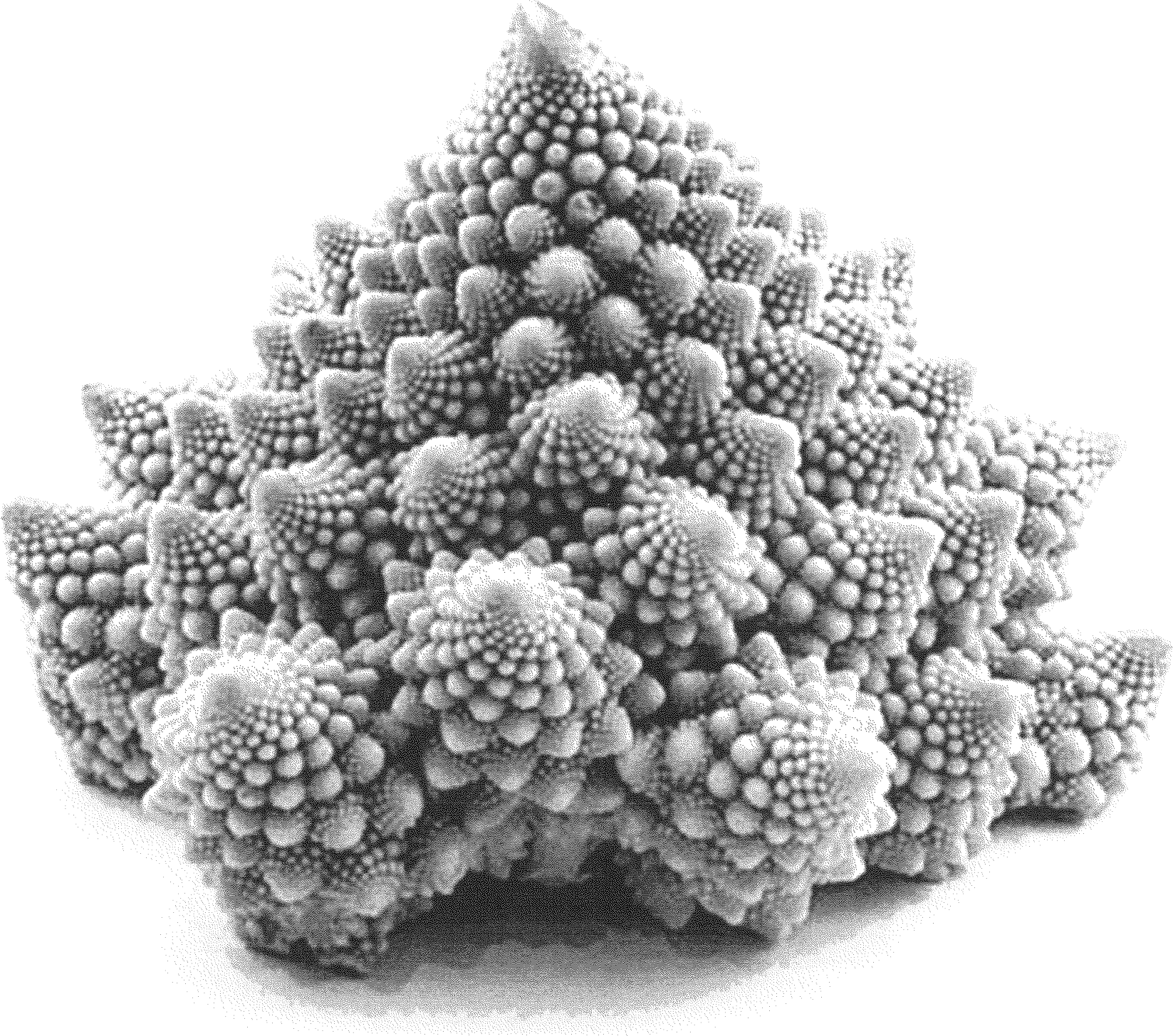 The People Layer icon