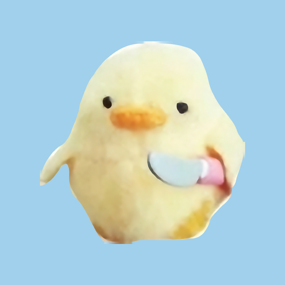 torah for birds icon