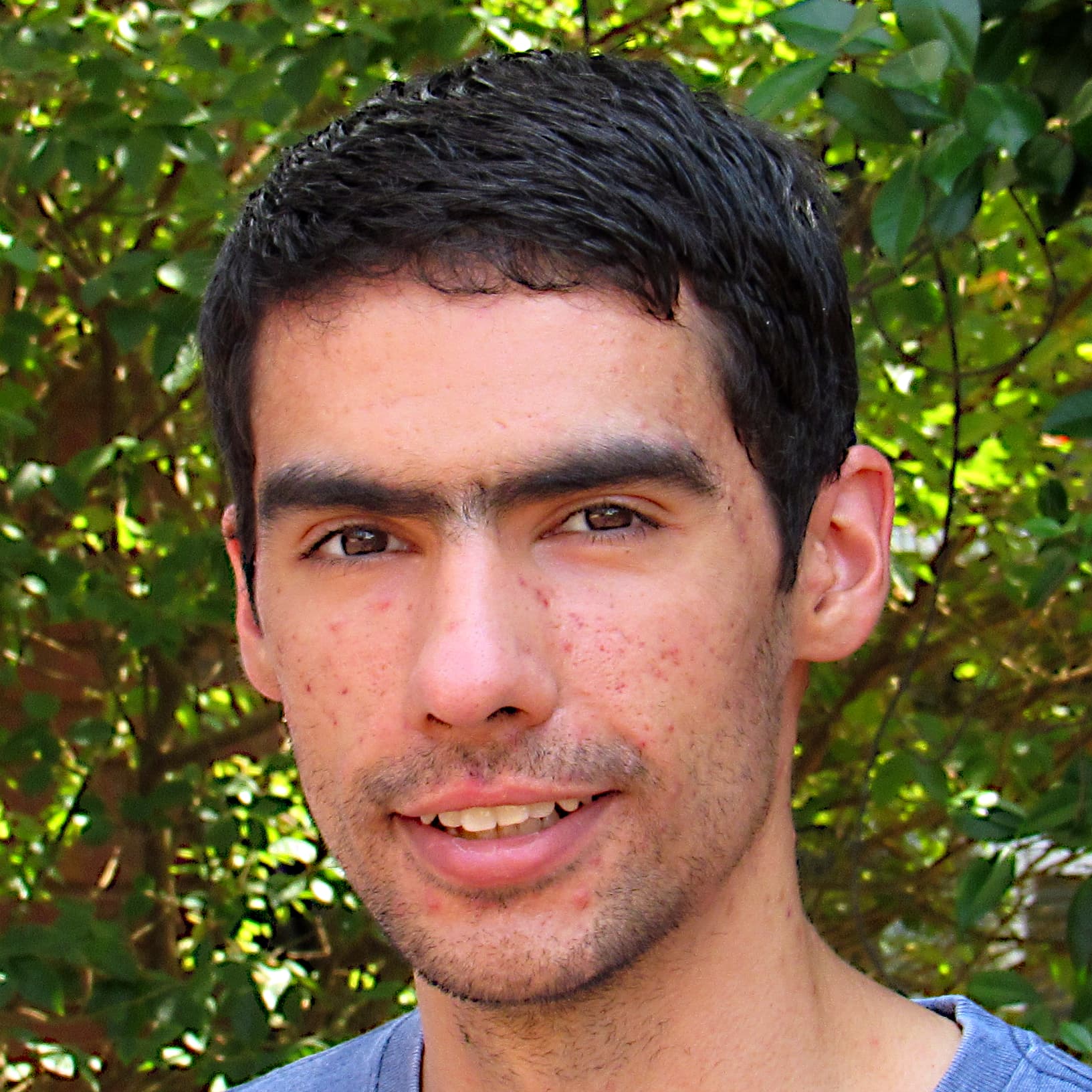 Zicklag's Leaflets icon