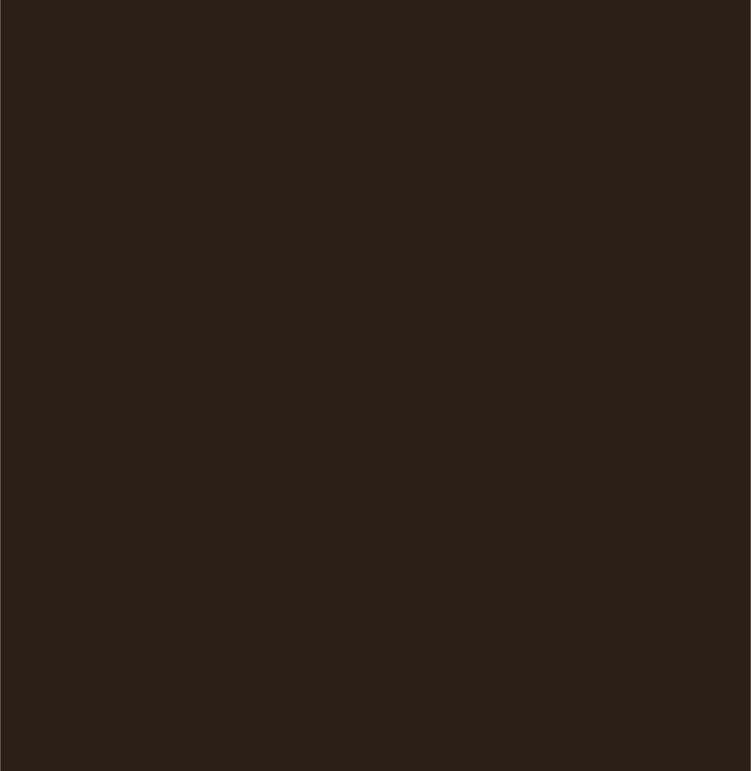 TINY SURVIVOR icon