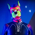 Off the Leash icon