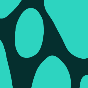 Bridge Standard icon