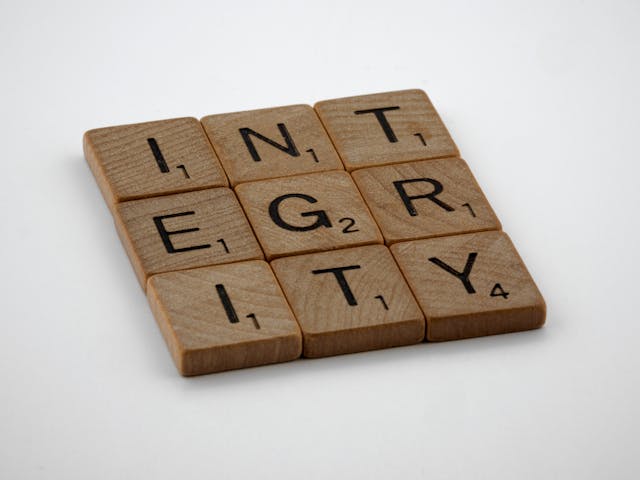 Integrity icon