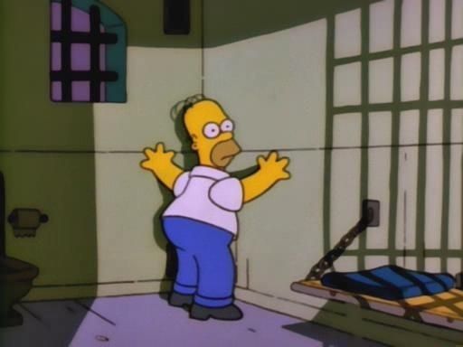 nic's culture logs icon