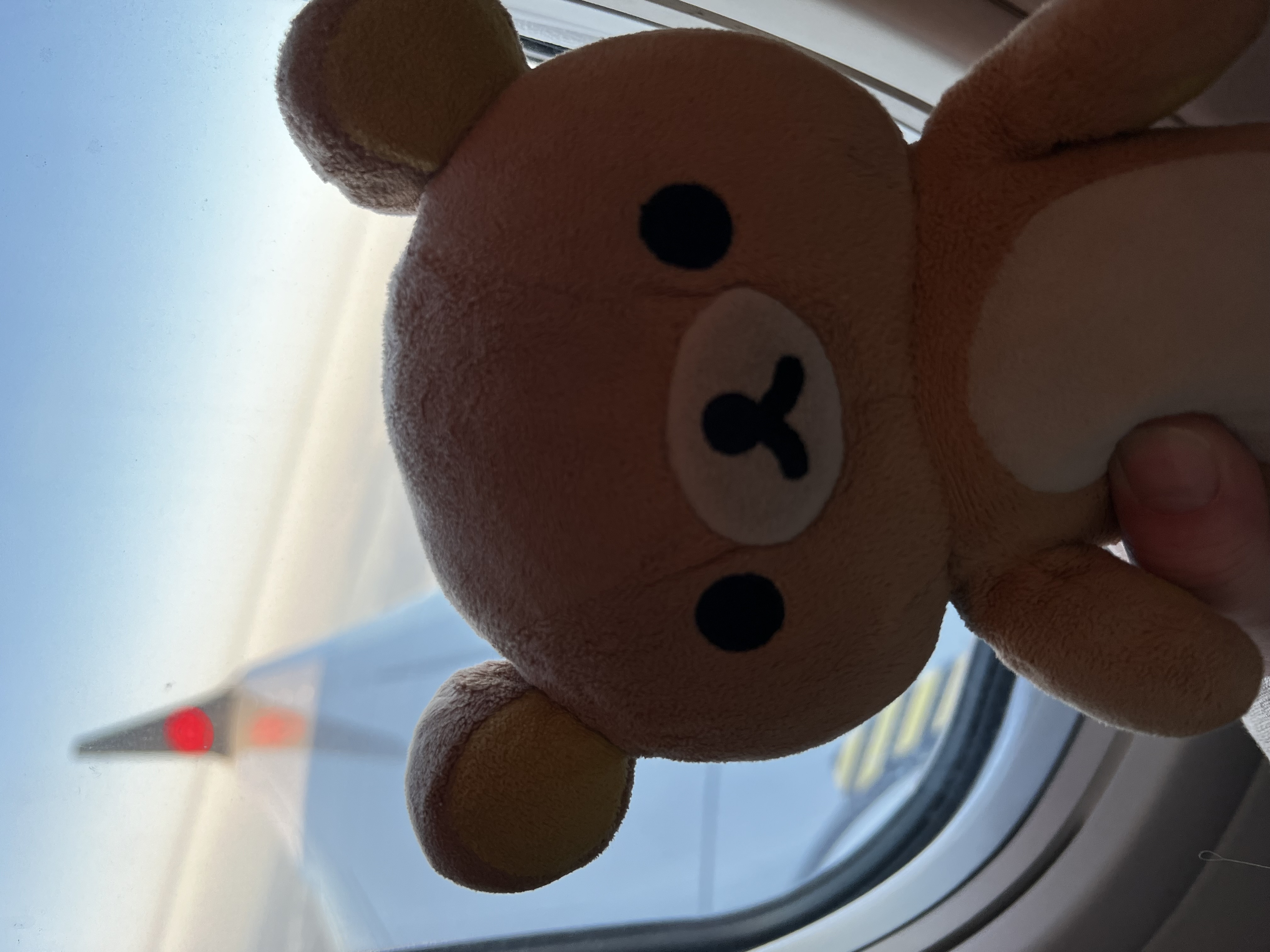 Teddy Bear's Thoughts icon