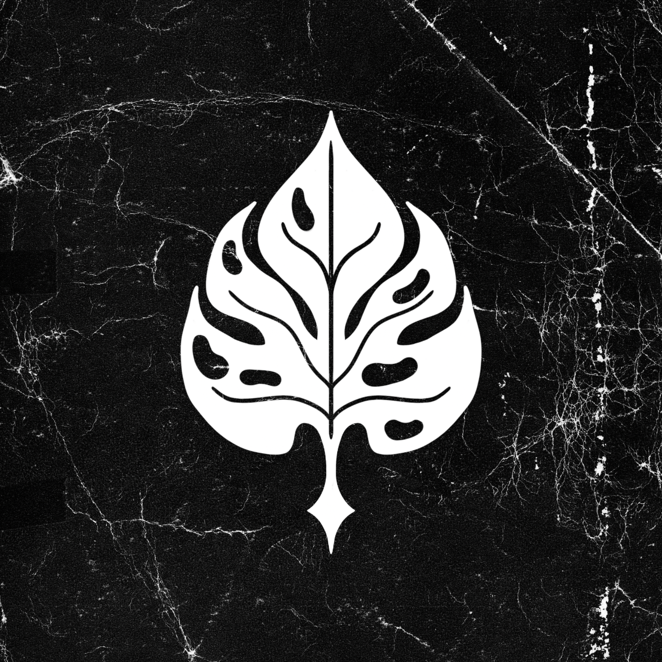 The Midnight Echo icon