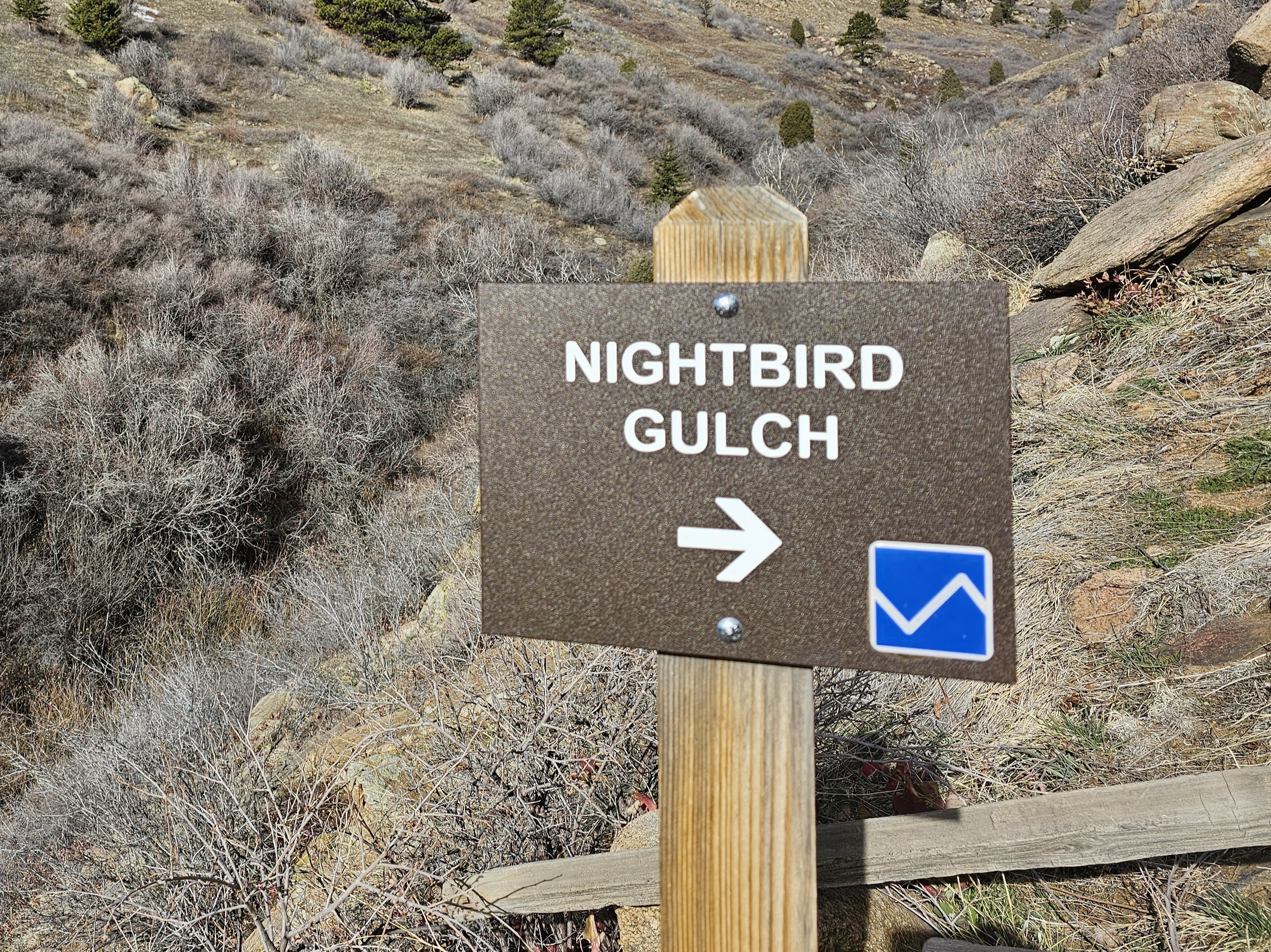 Nightbird Gulch - Pyxorium Memos